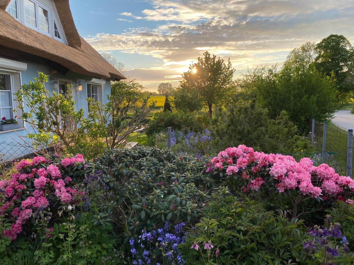 Reethaus Vilmnitz - Ferienwohnung Goor Екстер'єр фото