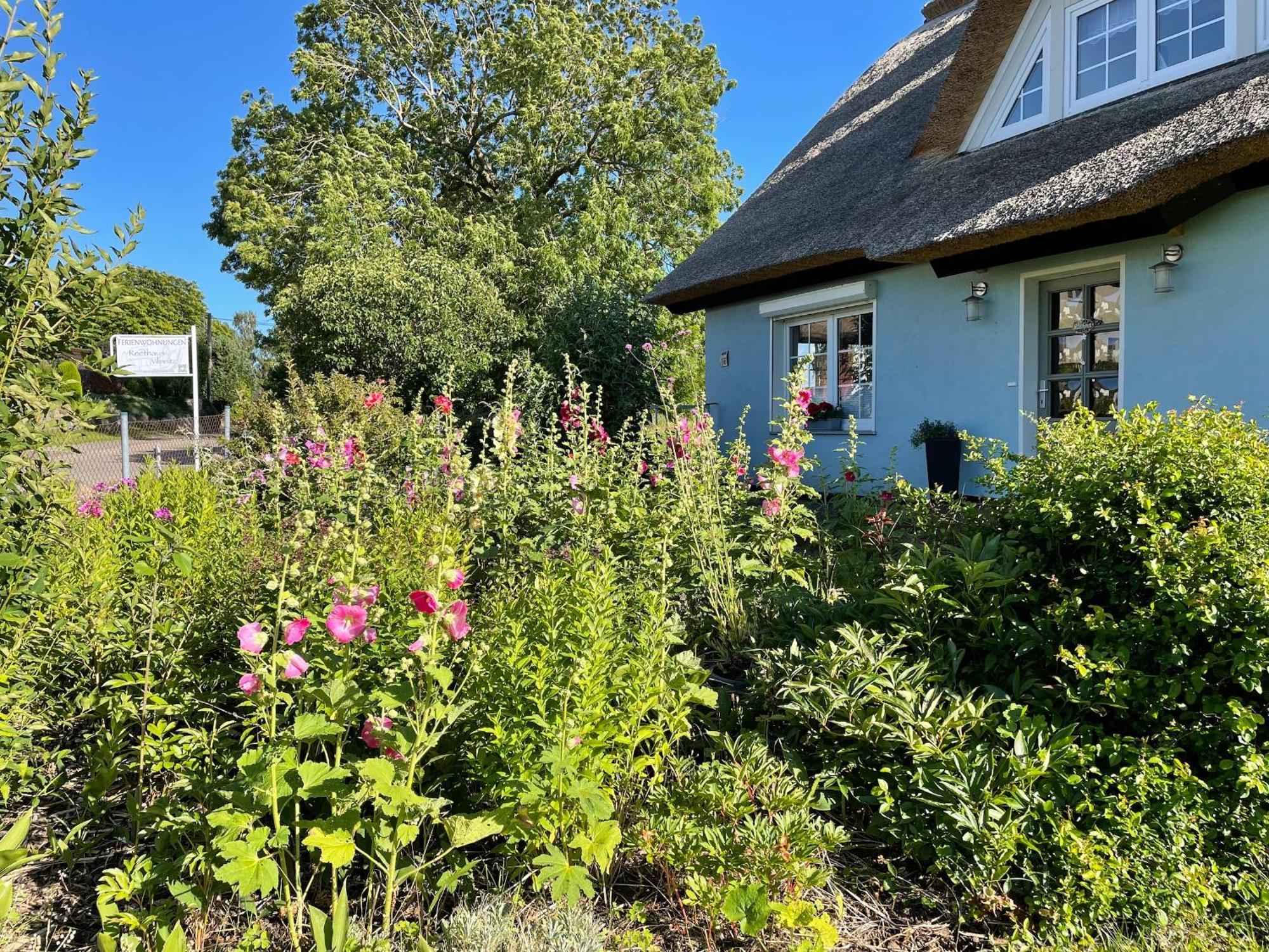 Reethaus Vilmnitz - Ferienwohnung Goor Екстер'єр фото