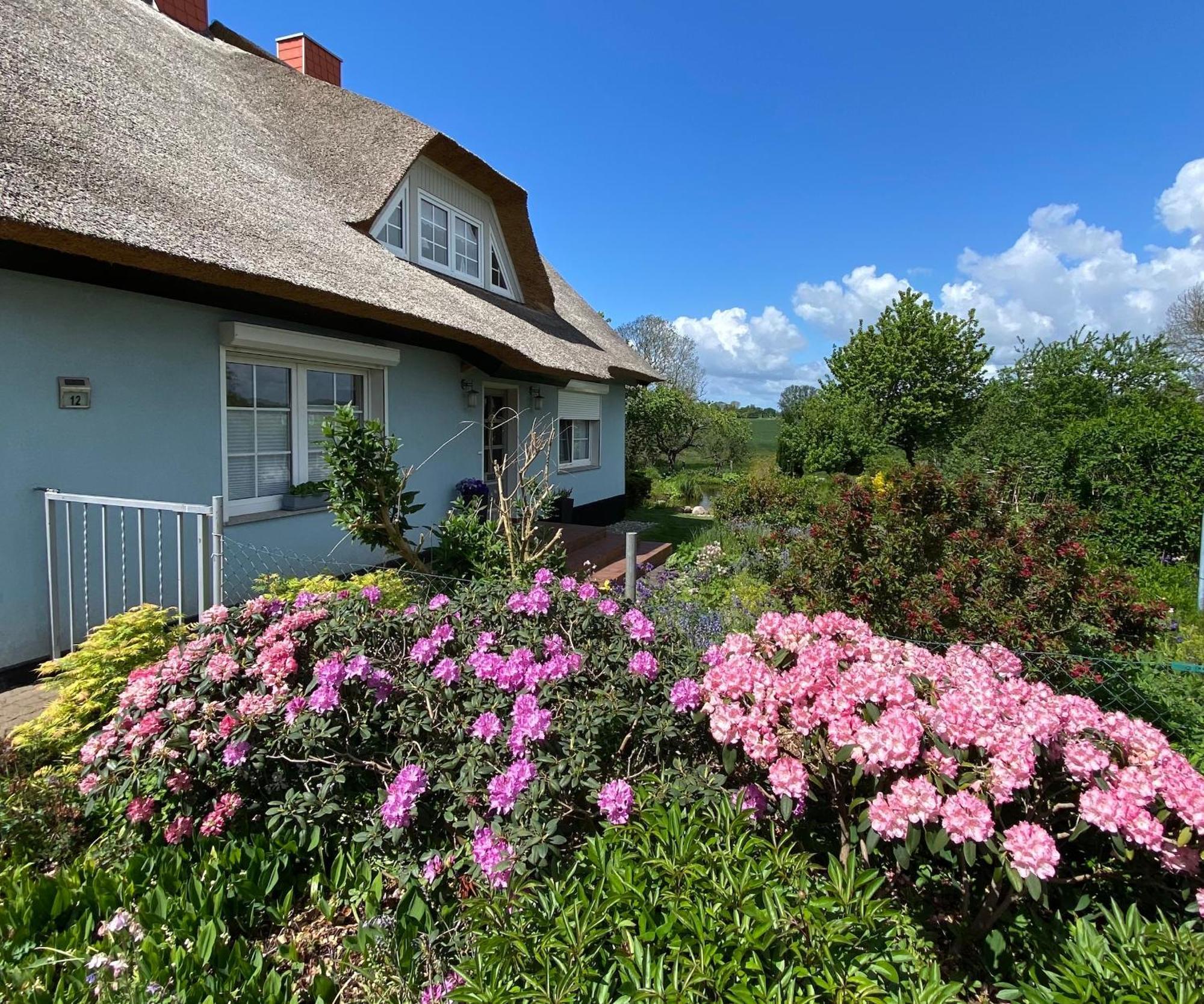 Reethaus Vilmnitz - Ferienwohnung Goor Екстер'єр фото